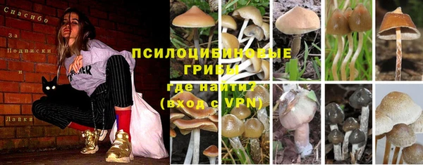 мескалин Богородск