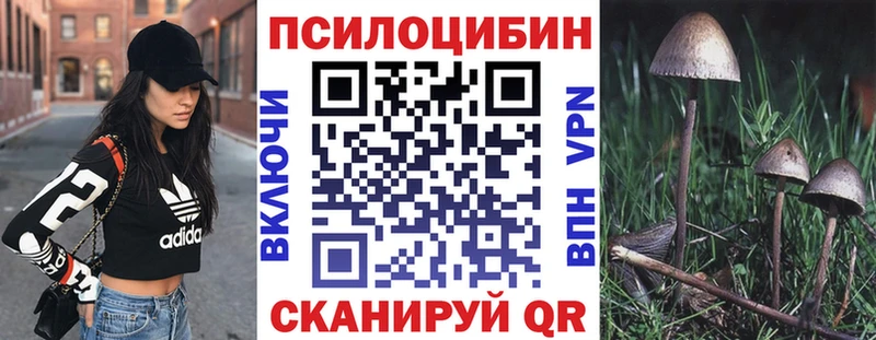 Псилоцибиновые грибы Cubensis  Старый Оскол 